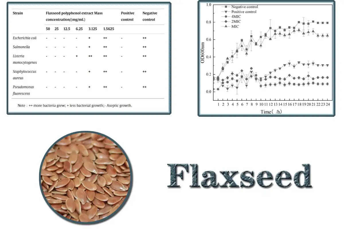 Flaxseed  Powder.jpg